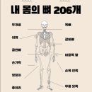 원플랜 이미지