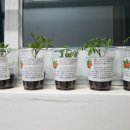 k-최강태권도 이미지