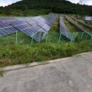 장안태양광발전소 이미지