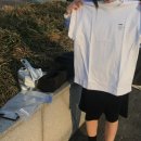 (주)사랑으로 | 260227 wave to earth 사랑으로 0.3 콘서트 후기