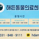 철원동물병원 이미지