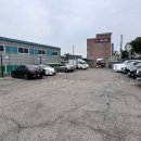 태흥장어 이미지