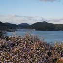 고흥공용버스터미널 이미지