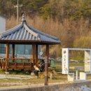 정자 반려견 이미지