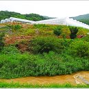 명월3리 행복마을 티스토리