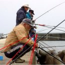 공간낚시 이미지