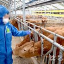 정재관농장 이미지