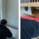 동물보육원 고양지부 이미지