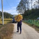 기계한우농장 이미지