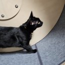 마단학원 이미지