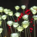 개화펜션 이미지