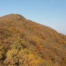 금란초등학교 | 순천 조계산 (선암사~장군봉~큰굴목재~선암사)(원점회귀)(ft. 선암사 겹벚꽃) 2026.04.23.