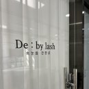 드바이래쉬 이미지