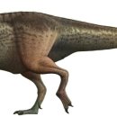 타르보사우루스-2 | 티라노사우루스(Tyrannosaurus)