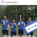 수원삼성블루윙즈