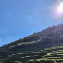 Namhae in 네이버블로그