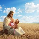 드림펫 동물병원 이미지