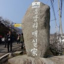 매화1길 이미지