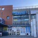 무창포숙성회 | [충남/보령] 둥이수산 | 보령 횟집 사장님 추천 인생 숭어회 내 돈 내산