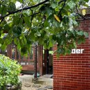 공영주차장(선관위건너편) 이미지