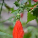 10mm디자인 이미지