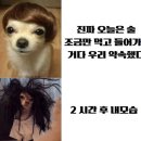 신기 이미지