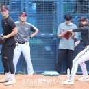 켈리 이미지