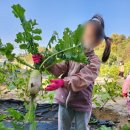 파란하늘어린이집 이미지