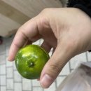 아라팰리스호텔 이미지