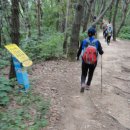 금북정맥 3구간 (성거산) 산행④ 이미지