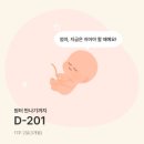 일심약국 | [9주-11주] 임신초기 입덧 / 마미렉틴 입덧약 / 임신선 / 11주 배크기 / 꼬리뼈 통증