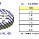 국내ㆍ외 디지털 컨텐츠 시장의 유료화 현황 및 활성화 방안 이미지