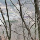 한치도로변 이미지