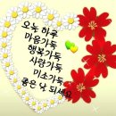 시절인연 이미지