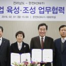 섬등에너지