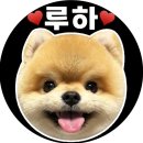 제주까망돼지 | 인천 숭의동 제주흑돼지 삼겹살 세트 540g, 까망돼지 가격·구성·후기 총정리