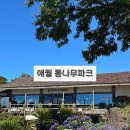 제주 조아통나무펜션 | 제주시 애월 단체여행 숙소 추천 - 가족 친구들 여행 가성비 좋은 통나무파크 펜션