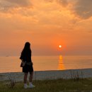 망양리 대게공원 | 경북 울진 여행 기성망양해수욕장 일출 해파리 샤워장 캠핑
