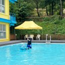 숲속해뜰유치원 | 충남 아이와 가볼만한곳 추천 부여 해아뜰 자연놀이터 물놀이