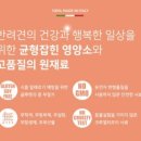 데이몬지