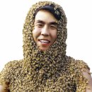안상규벌꿀 이미지