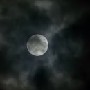 구르미 그린 달빛 이미지