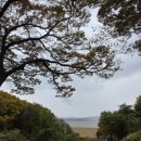 신중도 | 검단사 뷰가좋은절 오두산 파주 가볼만한곳 드라이브코스 만추 천년고찰 가을단풍이 예쁜절 전통사찰...