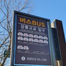 강릉고 입구(버스정류장) 이미지