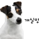 비비큐(BBQ)치킨송정점 이미지