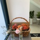 삼수리392 이미지