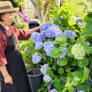 지방도863호 이미지