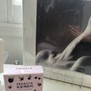 직장인영양제 찾는다면? 제니핏 블랙베리 프로젝트비 후기