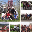 대인농장3 이미지