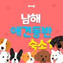 미조명 이미지